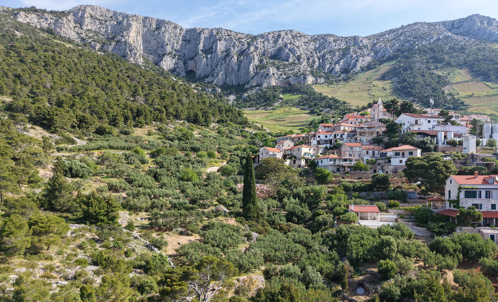 New Lecturer Meeting